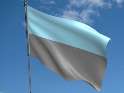 Autosexual 5ft x 3ft Flag