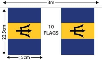 Barbados Bunting 3m