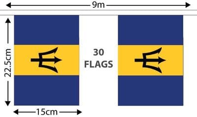 Barbados Bunting 9m