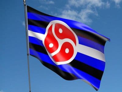 BDSM Pride 5ft x 3ft Flag