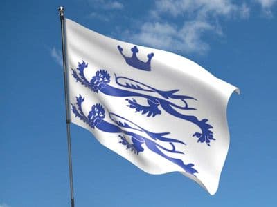 Berkshire Flag 5ft x 3ft