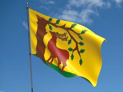 Berkshire New Flag 5ft x 3ft