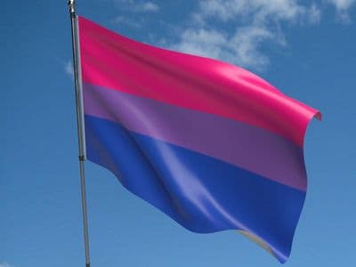 Bi-Pride 5ft x 3ft Flag