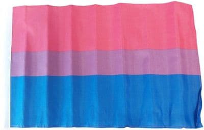 Bi-Pride Flag - 17
