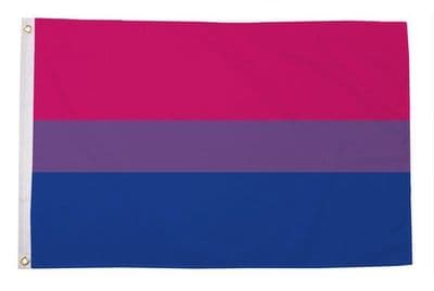 Bi-Pride Flag GIANT 8ft x 5ft