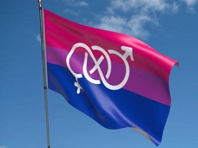 Bi-Pride Symbol Flag 5ft x 3ft
