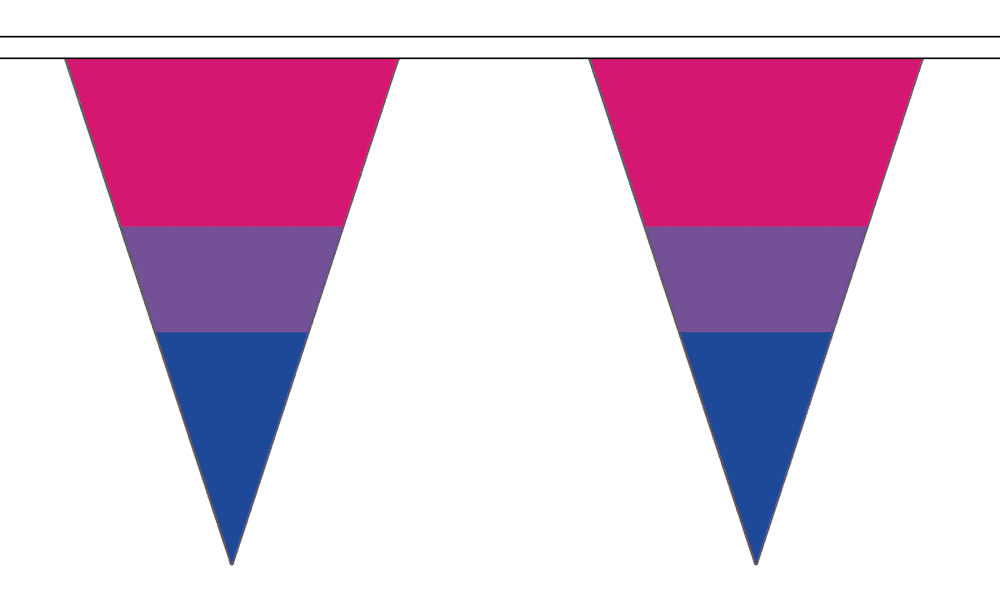 Bi-Pride Triangle Bunting | Buy Bi-Pride Triangle Bunting | NWFlags