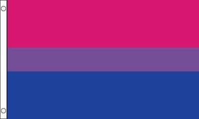 Bi-Pride VALUE Flag - 3ft x 2ft