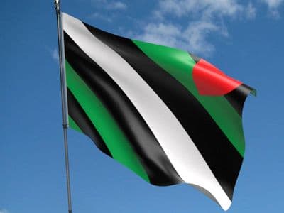 Boi Pride 5ft x 3ft Flag