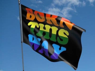 Born This Way Flag 5ft x 3ft