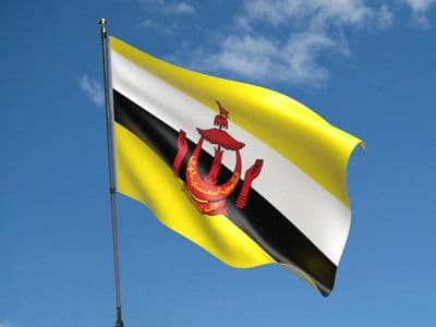 Brunei Flag 5ft x 3ft