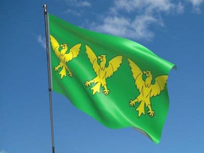 Caernarfonshire Flag 5ft x 3ft