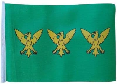 Caernarfonshire MINI Flag - 9