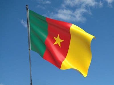 Cameroon 5ft x 3ft Flag