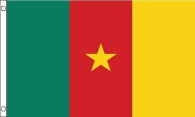 Cameroon Flag GIANT 8ft x 5ft