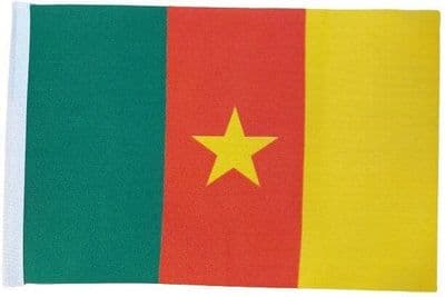 Cameroon MINI Flag - 9
