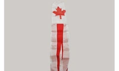 Canada 5ft Windsock