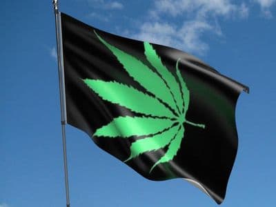 Cannabis 5ft x 3ft Flag