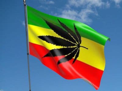 Cannabis Reggae Flag 5ft x 3ft
