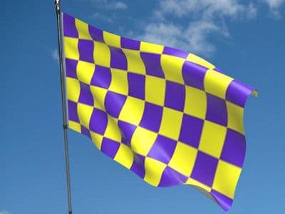 Checkered 5ft x 3ft Purple and Yellow Flag