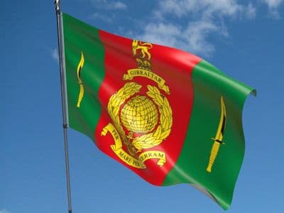 Commando Training Centre Royal Marines Flag - 5ft x 3ft | Standard Polyester