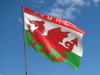 Cymru 5ft x 3ft Flag