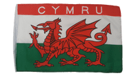 Cymru 1ft Flag | Buy Cymru 1ft Flag | North West Flags