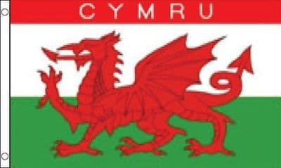 Cymru Flag - 3ft x 2ft | Standard Polyester