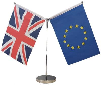 DELUXE European Union Friendship Table Flag - Chrome