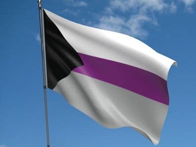 Demisexual Flag 5ft x 3ft