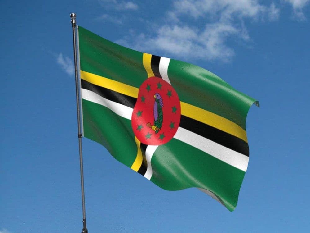 dominica 5ft x 3ft flag 1 872 p Dominica Flag | Buy Dominica 5ft x 3ft Flag | 27 Visa-Free Countries For Indian Passport Holders In 2024
