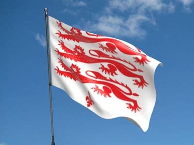 Dorset Civil Flag 5ft x 3ft