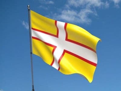 Dorset Flag 5ft x 3ft