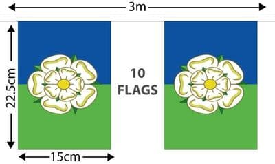 East Riding of Yorkshire Bunting 3m