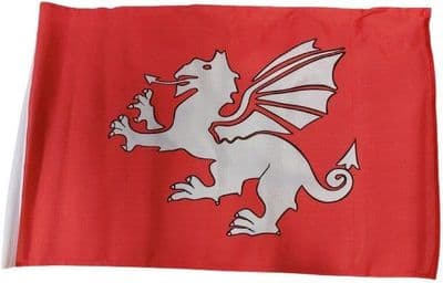 English White Dragon Flag - 17