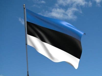 Estonia 5ft x 3ft Flag