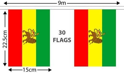 Ethiopia Lion Bunting 9m