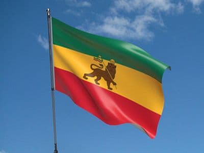 Ethiopia Lion Flag 5ft x 3ft