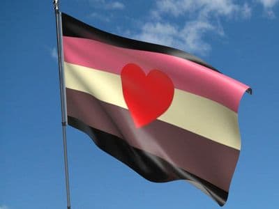 Fat Fetish 5ft x 3ft Flag