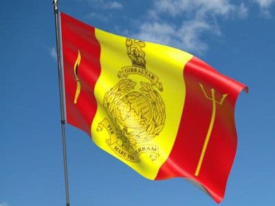 Fleet Protection Group Royal Marines Flag - 5ft x 3ft | Standard Polyester