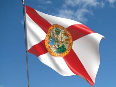 Florida State 5ft x 3ft Flag