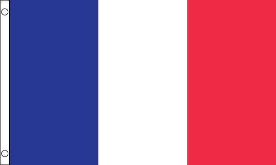 France Small Flag | Buy France Small Flag | NWFlags