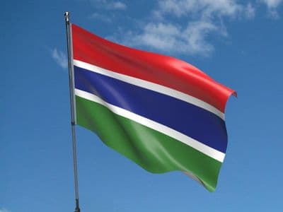 Gambia Flag 5ft x 3ft
