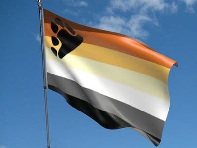 Gay Pride Bear 5ft x 3ft Flag