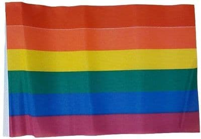 Gay Pride - Rainbow MINI Flag - 9