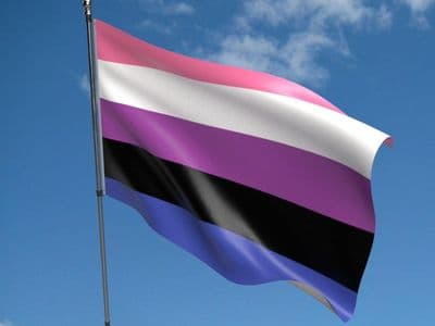 Genderfluid 5ft x 3ft Flag