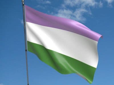 Genderqueer Flag 5ft x 3ft