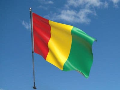 Guinea 5ft x 3ft Flag