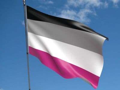 Gynephilia Flag 5ft x 3ft