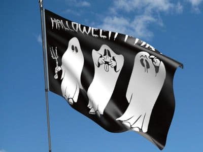 Halloween Party Flag 5ft x 3ft